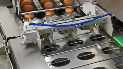 大小蛋自適應功能